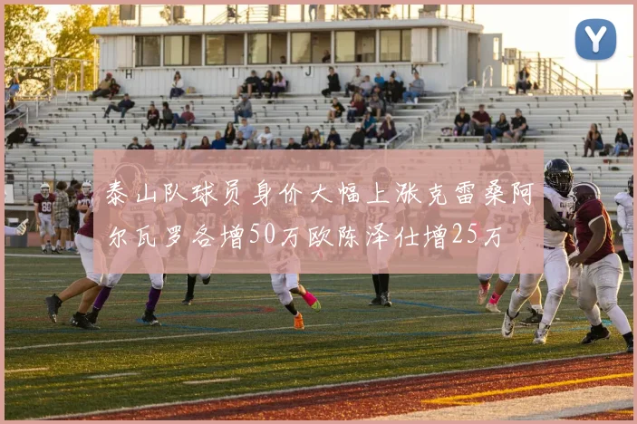 泰山队球员身价大幅上涨克雷桑阿尔瓦罗各增50万欧陈泽仕增25万
