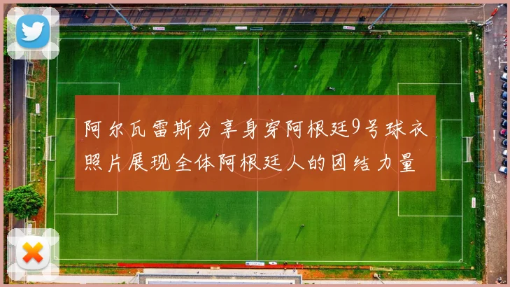 阿尔瓦雷斯分享身穿阿根廷9号球衣照片展现全体阿根廷人的团结力量